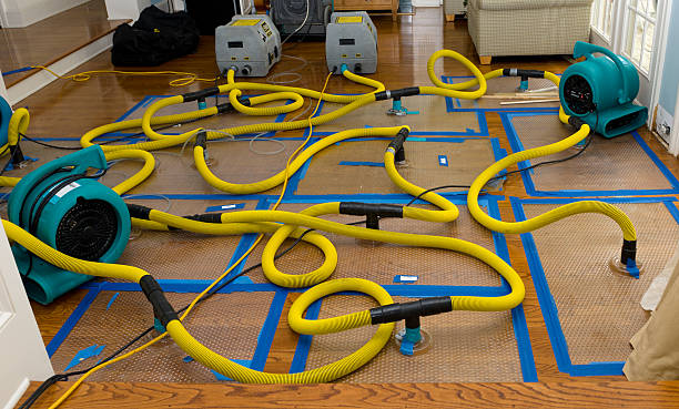 Professional Sewage Cleanup technician working in Osseo, WI